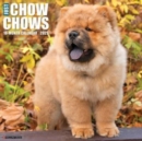 Just Chow Chows 2025 12 X 12 Wall Calendar - Book