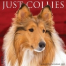 Just Collies 2025 12 X 12 Wall Calendar - Book