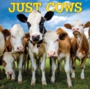 Just Cows 2025 12 X 12 Wall Calendar - Book