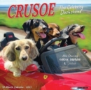 Crusoe the Celebrity Dachshund 2025 12 X 12 Wall Calendar - Book