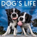 Dog's Life 2025 12 X 12 Wall Calendar - Book