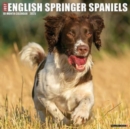 Just English Springer Spaniels 2025 12 X 12 Wall Calendar - Book