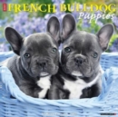 Just French Bulldog Puppies 2025 12 X 12 Wall Calendar - Book