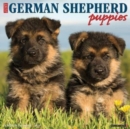 Just German Shepherd Puppies 2025 12 X 12 Wall Calendar - Book