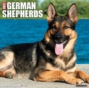 Just German Shepherds 2025 12 X 12 Wall Calendar - Book