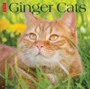 Just Ginger Cats 2025 12 X 12 Wall Calendar - Book