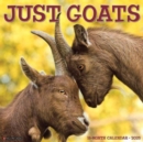 Goats 2025 12 X 12 Wall Calendar - Book