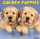 Just Golden Puppies 2025 12 X 12 Wall Calendar - Book