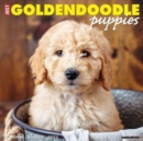 Just Goldendoodle Puppies 2025 12 X 12 Wall Calendar - Book