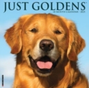 Just Goldens 2025 12 X 12 Wall Calendar - Book