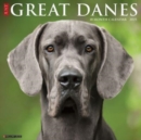 Just Great Danes 2025 12 X 12 Wall Calendar - Book