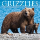 Grizzlies 2025 12 X 12 Wall Calendar - Book