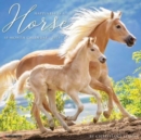 Happiness Is a Horse 2025 12 X 12 Wall Calendar - Book