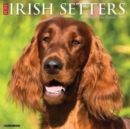 Just Irish Setters 2025 12 X 12 Wall Calendar - Book