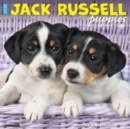 Just Jack Russell Puppies 2025 12 X 12 Wall Calendar - Book