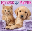 Kittens & Puppies 2025 12 X 12 Wall Calendar - Book