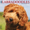 Just Labradoodles 2025 12 X 12 Wall Calendar - Book