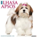 Just Lhasa Apsos 2025 12 X 12 Wall Calendar - Book