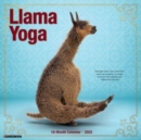 Llama Yoga 2025 12 X 12 Wall Calendar - Book