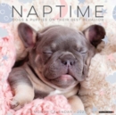 Naptime (Dogs & Puppies) 2025 12 X 12 Wall Calendar - Book