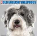 Just Old English Sheepdogs 2025 12 X 12 Wall Calendar - Book