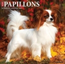 Just Papillons 2025 12 X 12 Wall Calendar - Book