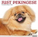 Just Pekingese 2025 12 X 12 Wall Calendar - Book