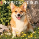 Just Pembroke Corgis 2025 12 X 12 Wall Calendar - Book