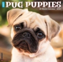 Just Pug Puppies 2025 12 X 12 Wall Calendar - Book