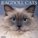 Ragdoll Cats 2025 12 X 12 Wall Calendar - Book