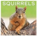 Squirrels 2025 12 X 12 Wall Calendar - Book