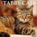 Just Tabby Cats 2025 12 X 12 Wall Calendar - Book