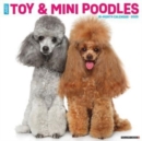 Just Toy & Miniature Poodles 2025 12 X 12 Wall Calendar - Book