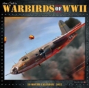 Warbirds of WWII 2025 12 X 12 Wall Calendar - Book