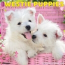 Just Westie Puppies 2025 12 X 12 Wall Calendar - Book