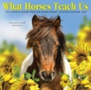 What Horses Teach Us 2025 12 X 12 Wall Calendar - Book