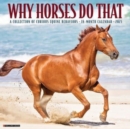 Why Horses Do That 2025 12 X 12 Wall Calendar - Book