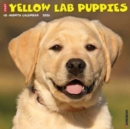 Just Yellow Lab Puppies 2025 12 X 12 Wall Calendar - Book