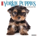 Just Yorkie Puppies 2025 12 X 12 Wall Calendar - Book