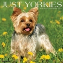 Just Yorkies 2025 12 X 12 Wall Calendar - Book