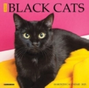 Just Black Cats 2025 7 X 7 Mini Wall Calendar - Book