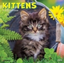 Kittens 2025 7 X 7 Mini Wall Calendar - Book