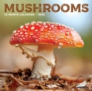 Mushrooms 2025 7 X 7 Mini Wall Calendar - Book