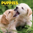 Puppies 2025 7 X 7 Mini Wall Calendar - Book