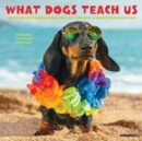 What Dogs Teach Us 2025 7 X 7 Mini Wall Calendar - Book