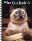 What Cats Teach Us 2025 6.5 X 8.5 Engagement Calendar - Book