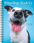 What Dogs Teach Us 2025 6.5 X 8.5 Engagement Calendar - Book