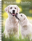 What Goldens Teach Us 2025 6.5 X 8.5 Engagement Calendar - Book