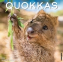 Quokkas 2025 12 X 12 Wall Calendar - Book