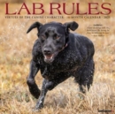 Lab Rules 2025 12 X 12 Wall Calendar - Book